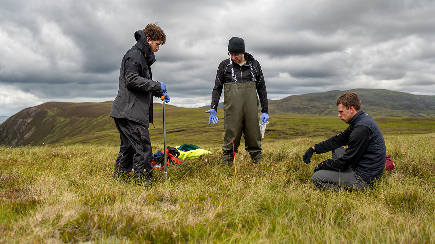 Wetlands are focus of new £2.66m centre led by university partnership