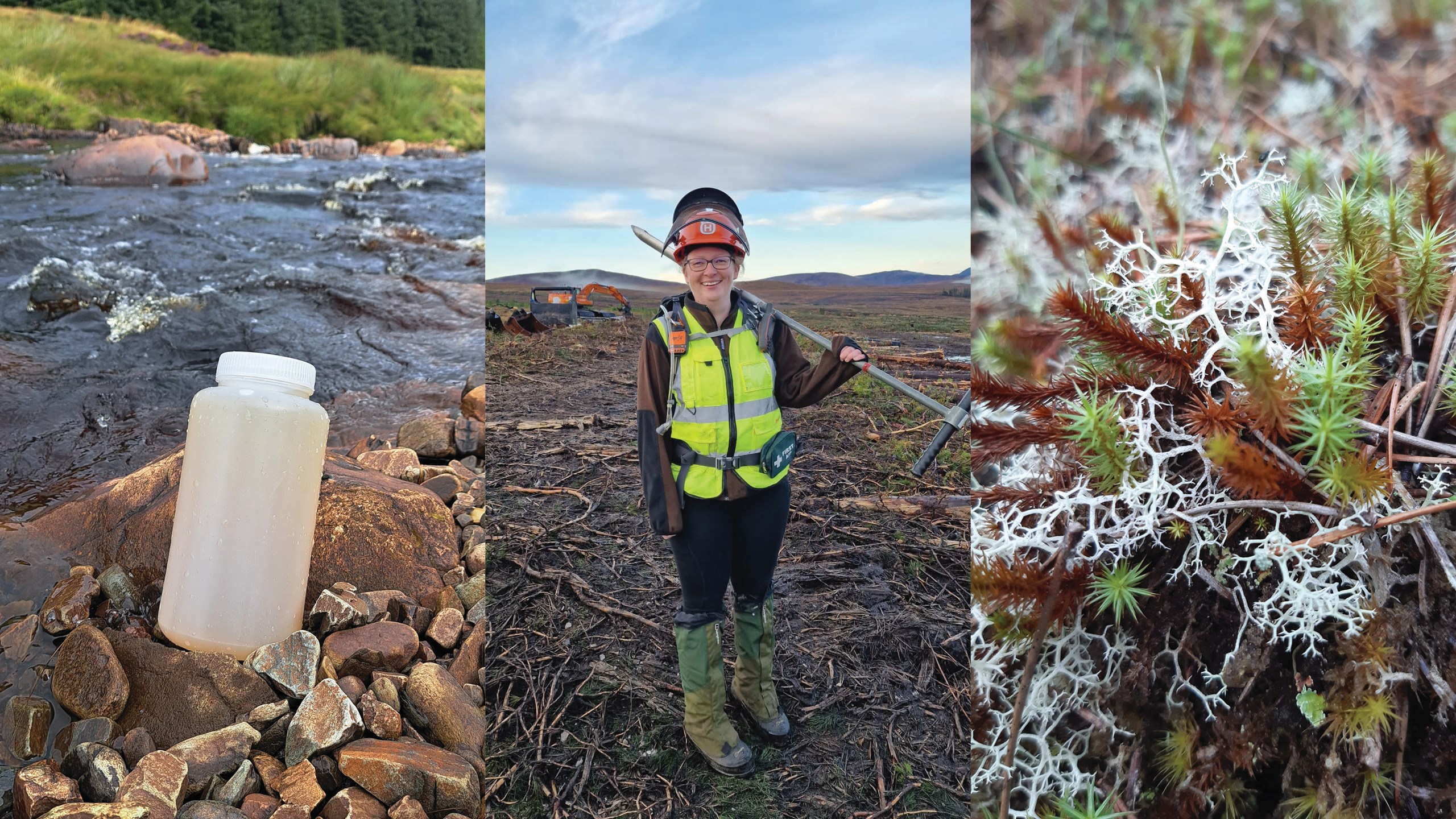 Collage of images of Anna McWilliam conducting her research in the field