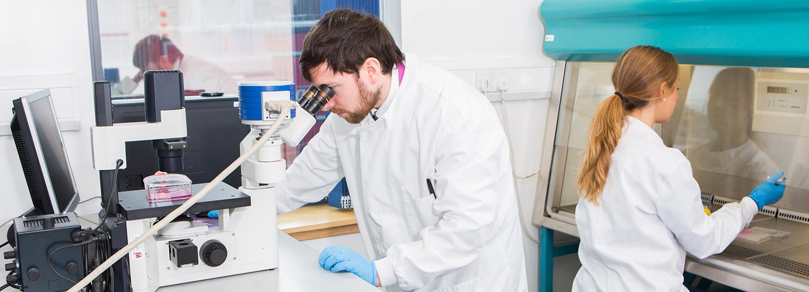 Students in laboratory