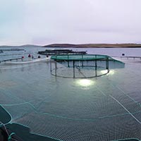 Aquaculture