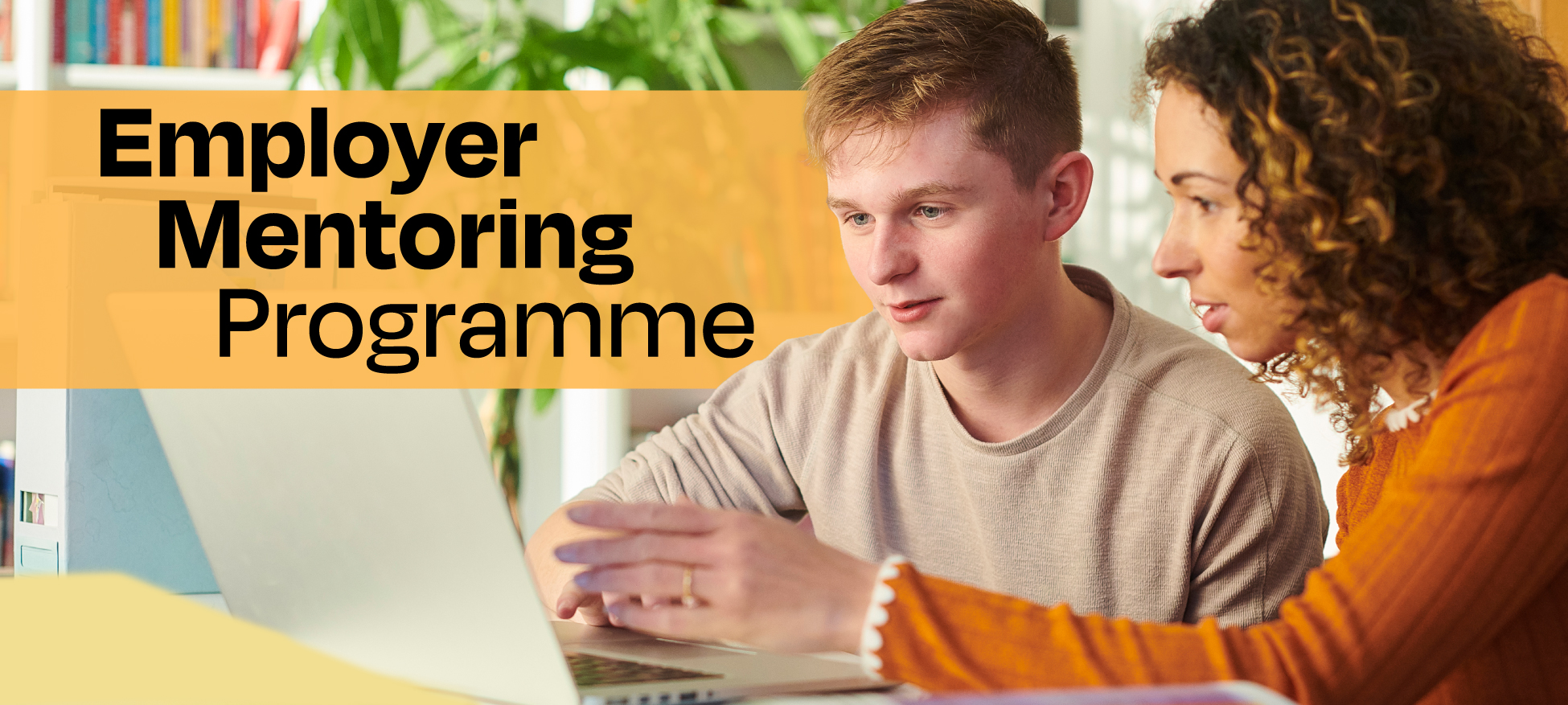 Employer Mentoring Programme