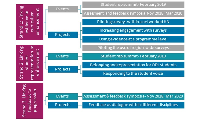 Curriculum enhancement flowchart