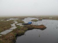 Caithness conference discusses carbon, wildlife and water in the flows