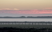 Uist-based art student wins national photography award