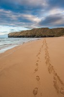 Unique course for North Highland tourist guides available from September