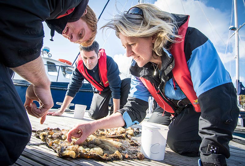 Expert talk to explore impact of invasive marine species