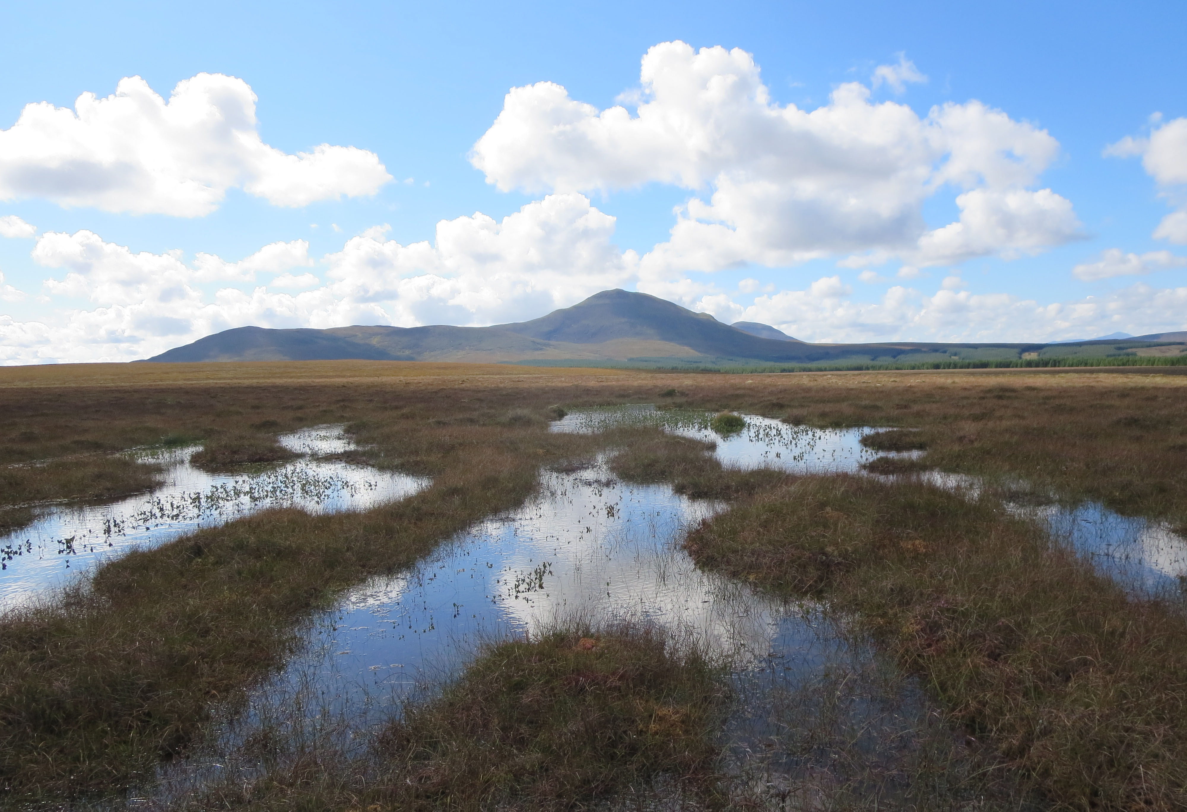 Blanket bog in the Flow Country