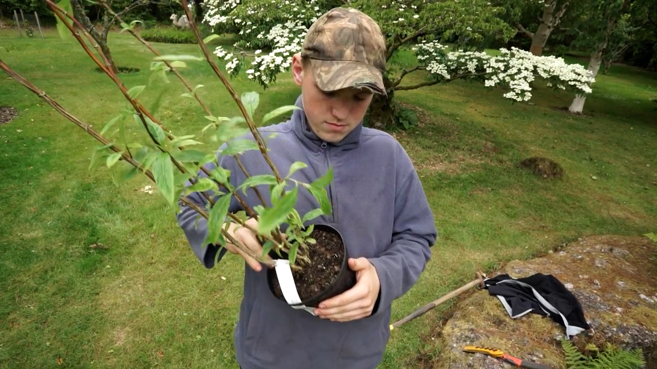 UHI set to launch NextGen HNC Horticulture