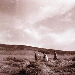 Research land and people (picture credit Historylinks Museum)