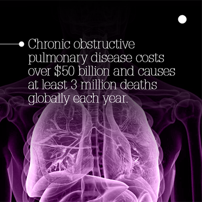 Evaluation of a chronic obstructive pulmonary disease self-management tool for NHS Highland