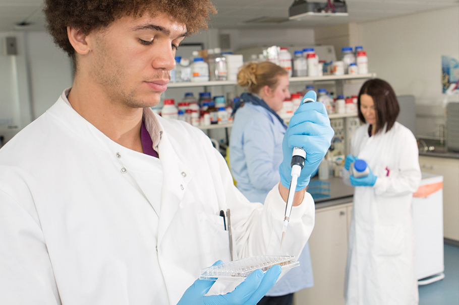 Scientists in a Biochemistry Lab