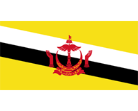 Flag of Brunei