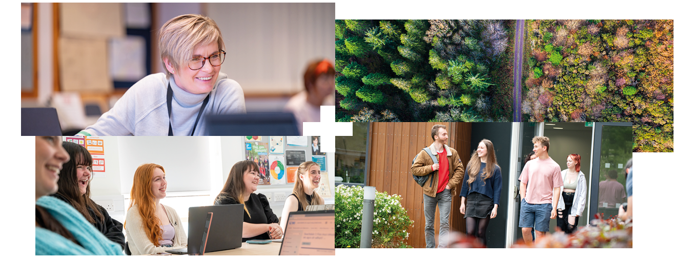 Collage of 4 | Person looking at a computer | Forest aerial image | Students in a classroom | Students walking outside