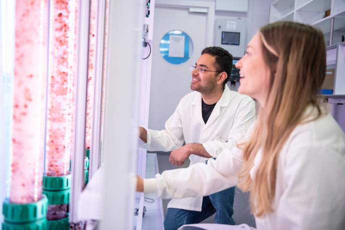 Students in a laboratory